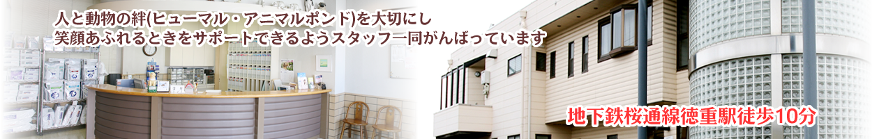 名古屋市緑区【熊の前動物病院】トリミングもお任せください！